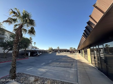 Lake View, Close Proximity to Downtown Havasu, Professional - photo 2