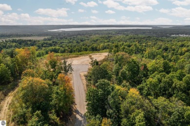 Lake Acreage For Sale in Rapid City, Michigan