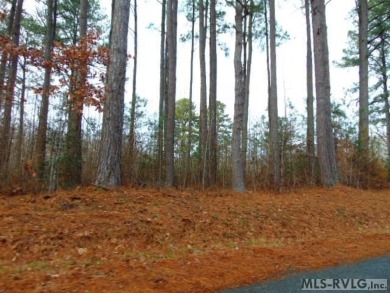 Lake Lot For Sale in Freeman, Virginia