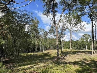 Beautiful hilltop homesite is waiting to build on, bring your - photo 2