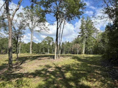 Beautiful hilltop homesite is waiting to build on, bring your - photo 3