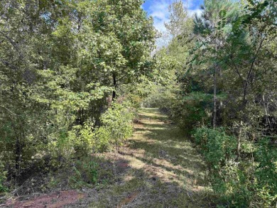 Beautiful hilltop homesite is waiting to build on, bring your - photo 6
