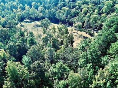 Beautiful hilltop homesite is waiting to build on, bring your - photo 9