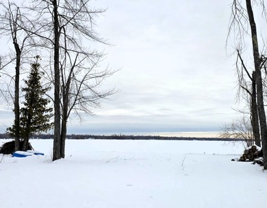 Long Lake - Presque Isle county Lot For Sale in Posen Michigan