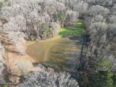 Tucked just off Highway 61 in Lorman, Mississippi, this 140+/- - photo 3