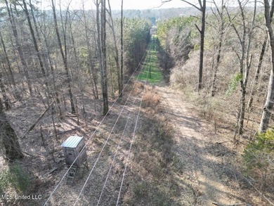 Tucked just off Highway 61 in Lorman, Mississippi, this 140+/- - photo 4