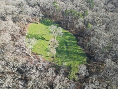 Tucked just off Highway 61 in Lorman, Mississippi, this 140+/- - photo 9