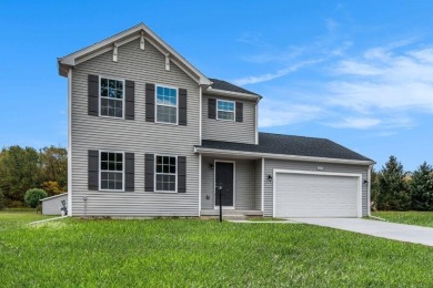 Lake Home For Sale in Richland, Michigan