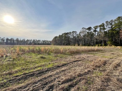 (private lake, pond, creek) Acreage For Sale in Varnville South Carolina