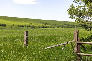 In the foothills of the Snowy Mountains, just 8 miles from town - photo 18