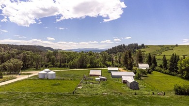 In the foothills of the Snowy Mountains, just 8 miles from town - photo 26