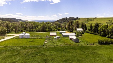 In the foothills of the Snowy Mountains, just 8 miles from town - photo 27