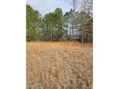 Lake Lot For Sale in Roanoke Rapids, North Carolina