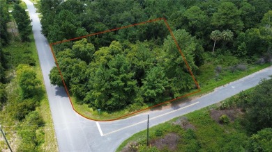 Lake Lot For Sale in Ocala, Florida