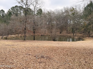 Charming single-family home situated on a beautiful country lot - photo 2
