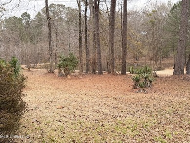 Charming single-family home situated on a beautiful country lot - photo 5