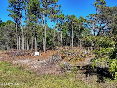 Boiling Spring Lake Lot For Sale in Southport North Carolina
