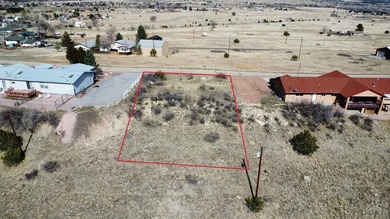 Experience elevated living with this exceptional property - photo 3