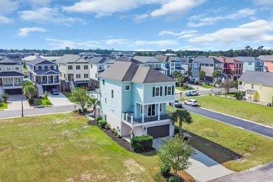 Welcome to 438 Saint Julian Ln., a stunning three-story home - photo 26
