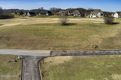 Beautiful GOLF FRONT LOT at the fourteenth tee box WITH LAKE - photo 1