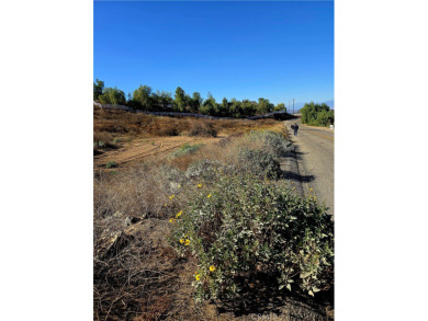 Lake Acreage For Sale in Perris, California