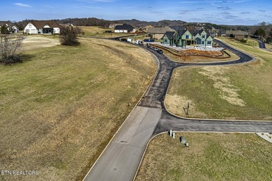 Beautiful GOLF FRONT LOT at the fourteenth tee box WITH LAKE - photo 6