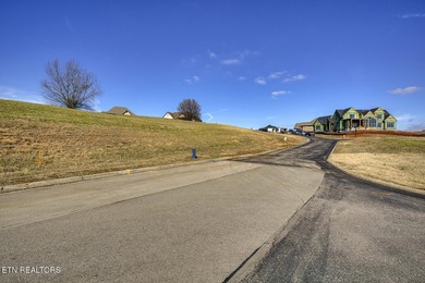Beautiful GOLF FRONT LOT at the fourteenth tee box WITH LAKE - photo 7