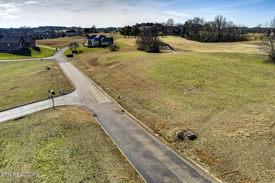 Beautiful GOLF FRONT LOT at the fourteenth tee box WITH LAKE - photo 8