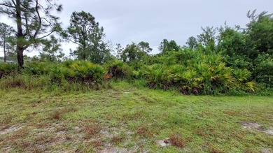 Lehigh Acres Area Lot For Sale in Lehigh Acres Florida