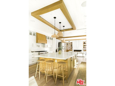 Celebrity-owned organic modern farmhouse on a quiet cul-de-sac - photo 11