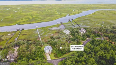 Deepwater Access with easily transferable dock permit!! This - photo 1