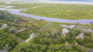 Deepwater Access with easily transferable dock permit!! This - photo 5
