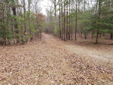 Lake Other For Sale in Boydton, Virginia