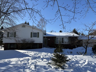 Besser Lake Home Active Under Contract in Alpena Michigan