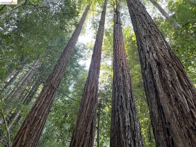 Tucked away in one of Scotts Valley's most desirable - photo 1