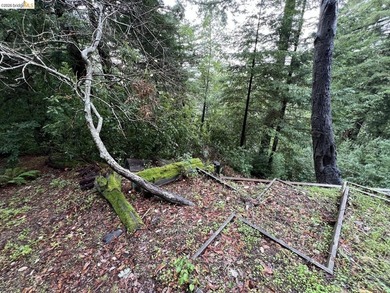 Tucked away in one of Scotts Valley's most desirable - photo 4