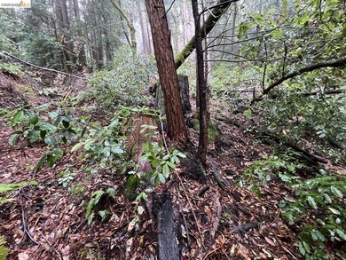 Tucked away in one of Scotts Valley's most desirable - photo 8