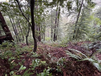 Tucked away in one of Scotts Valley's most desirable - photo 9