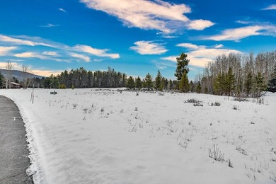 Discover the perfect opportunity to build your dream home on - photo 12
