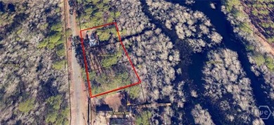 Lake Home For Sale in Portal, Georgia