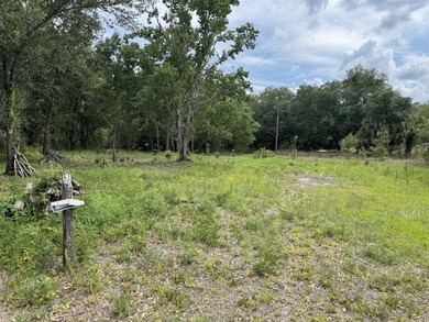 1.19 ACRES OF RURAL LAND WITH HWY 60 FRONTAGE! Build your home - photo 2