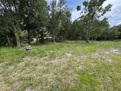 1.19 ACRES OF RURAL LAND WITH HWY 60 FRONTAGE! Build your home - photo 3