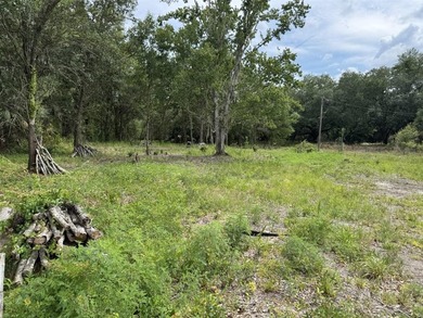 1.19 ACRES OF RURAL LAND WITH HWY 60 FRONTAGE! Build your home - photo 4