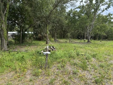 1.19 ACRES OF RURAL LAND WITH HWY 60 FRONTAGE! Build your home - photo 5