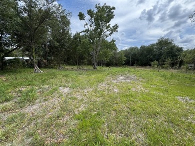 1.19 ACRES OF RURAL LAND WITH HWY 60 FRONTAGE! Build your home - photo 6