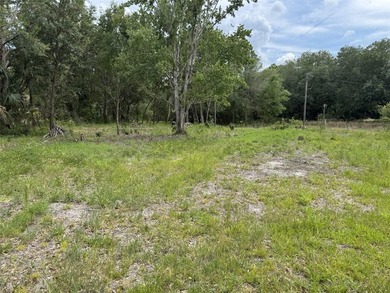 1.19 ACRES OF RURAL LAND WITH HWY 60 FRONTAGE! Build your home - photo 7