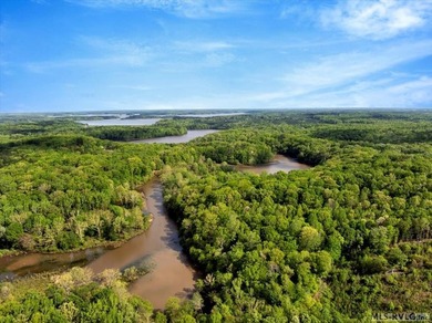Gorgeous Island Creek Reservoir unrestricted waterfront land - photo 2