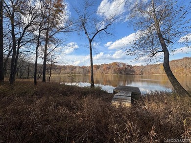 Gorgeous Island Creek Reservoir unrestricted waterfront land - photo 3