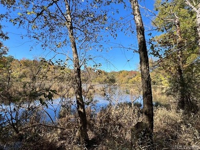 Gorgeous Island Creek Reservoir unrestricted waterfront land - photo 4