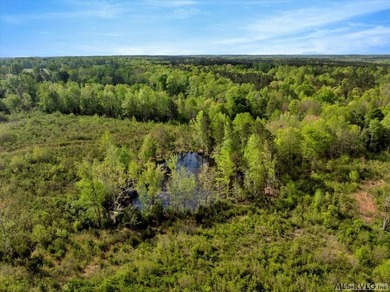 Gorgeous Island Creek Reservoir unrestricted waterfront land - photo 5
